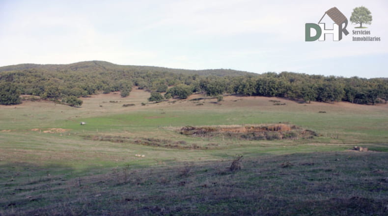 Cáceres - Cáceres - 8220000m2