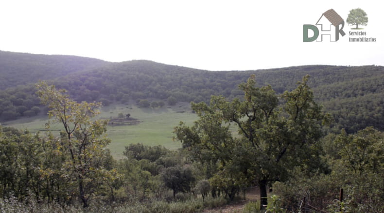 Cáceres - Cáceres - 8220000m2