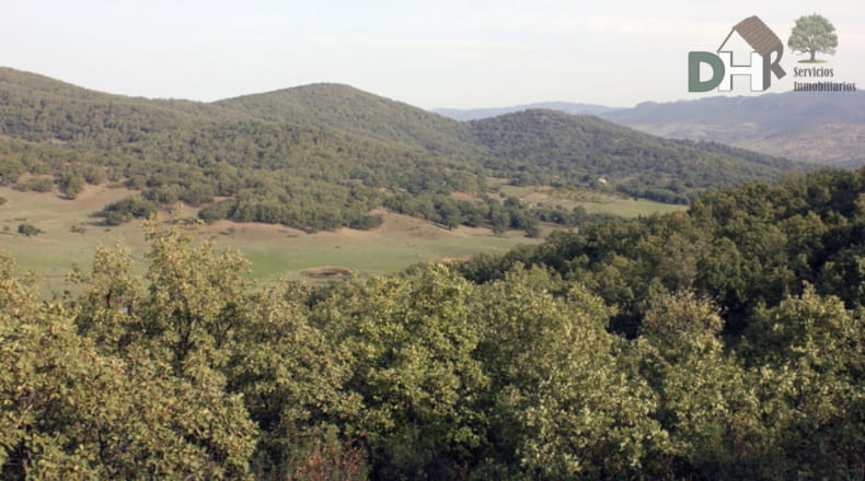 Cáceres - Cáceres - 8220000m2