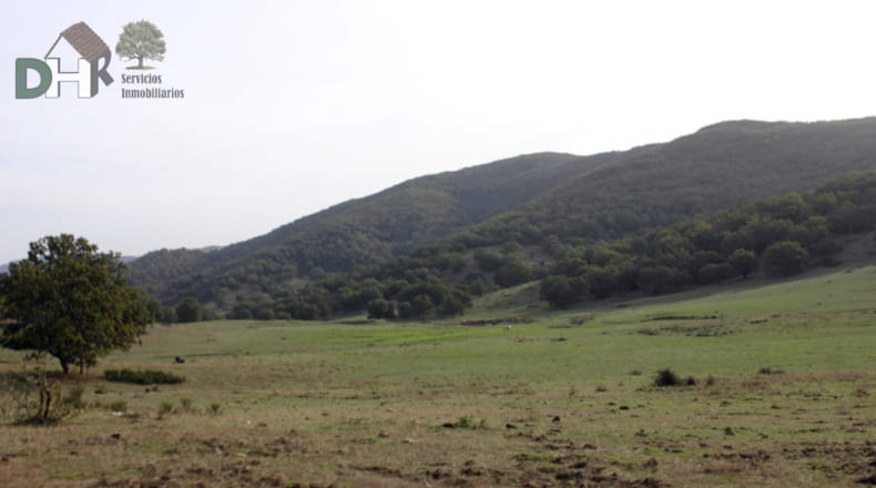 Cáceres - Cáceres - 8220000m2