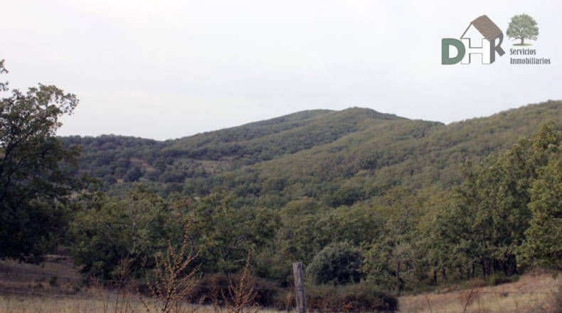 Cáceres - Cáceres - 8220000m2