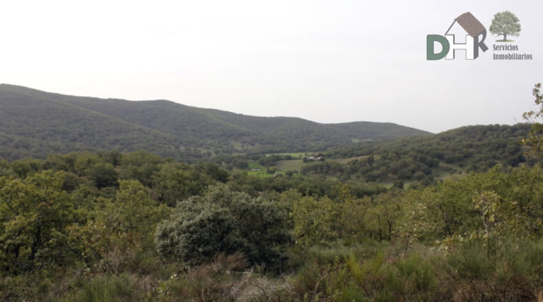 Cáceres - Cáceres - 8220000m2