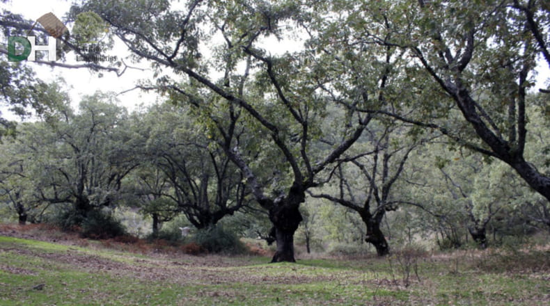 Cáceres - Cáceres - 8220000m2