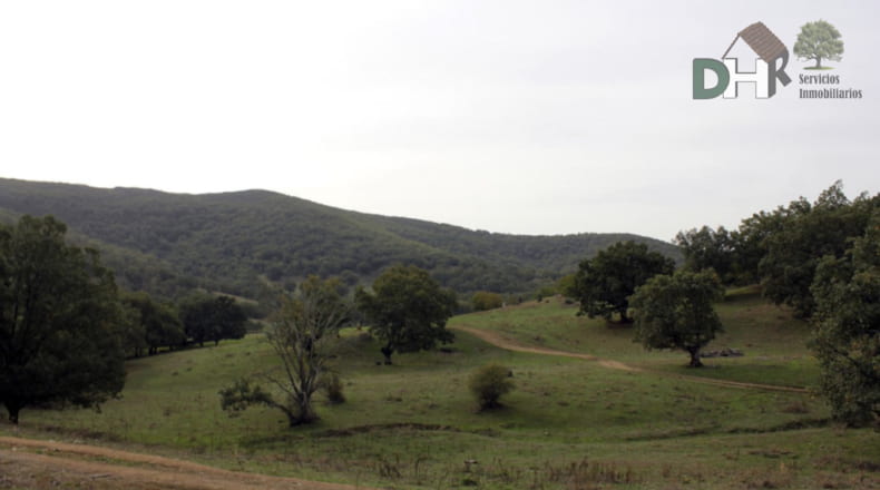Cáceres - Cáceres - 8220000m2