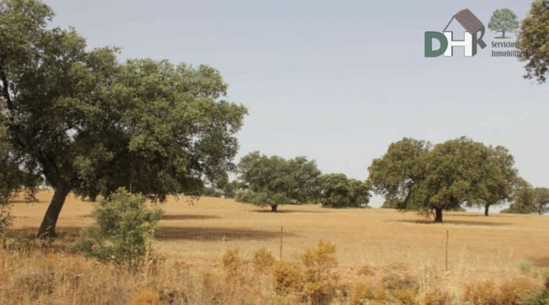 Badajoz - Badajoz - 1700000m2