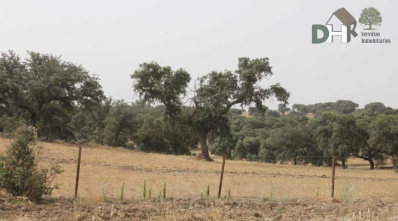 Badajoz - Badajoz - 1700000m2