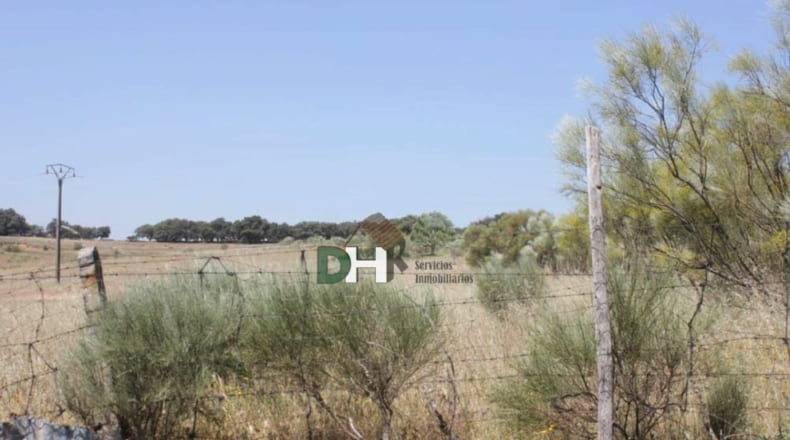 Cáceres - Cáceres - 400000m2