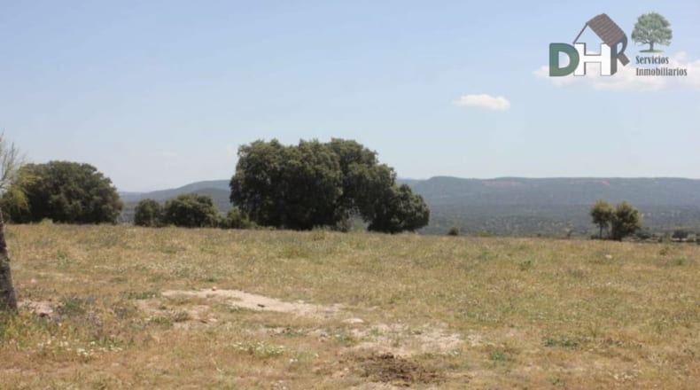 Cáceres - Cáceres - 400000m2