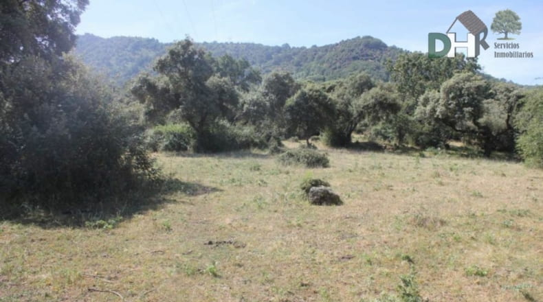 Cáceres - Cáceres - 1470000m2