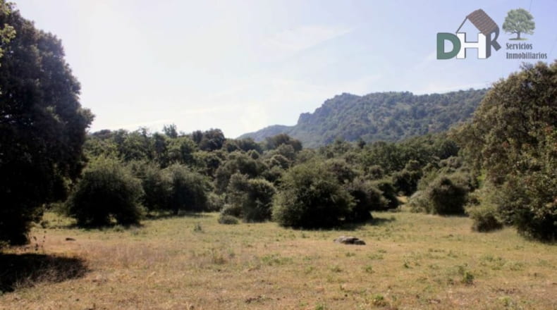 Cáceres - Cáceres - 1470000m2