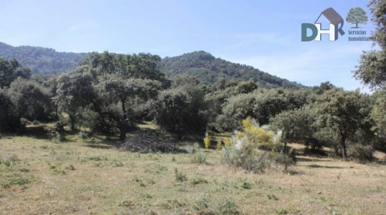Cáceres - Cáceres - 1470000m2