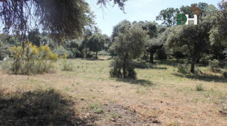 Cáceres - Cáceres - 1470000m2