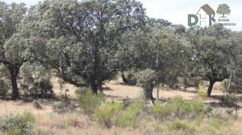 Cáceres - Cáceres - 1470000m2