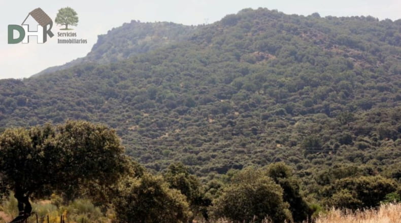 Cáceres - Cáceres - 1470000m2