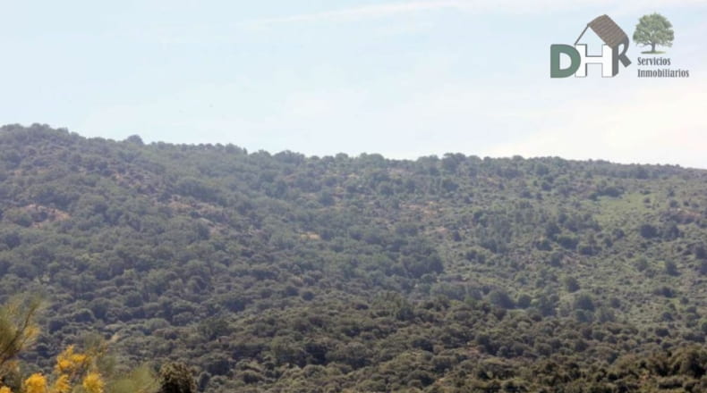 Cáceres - Cáceres - 1470000m2