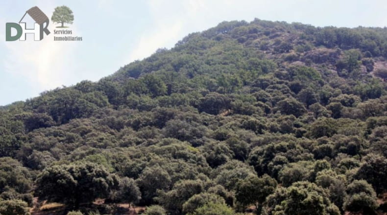 Cáceres - Cáceres - 1470000m2