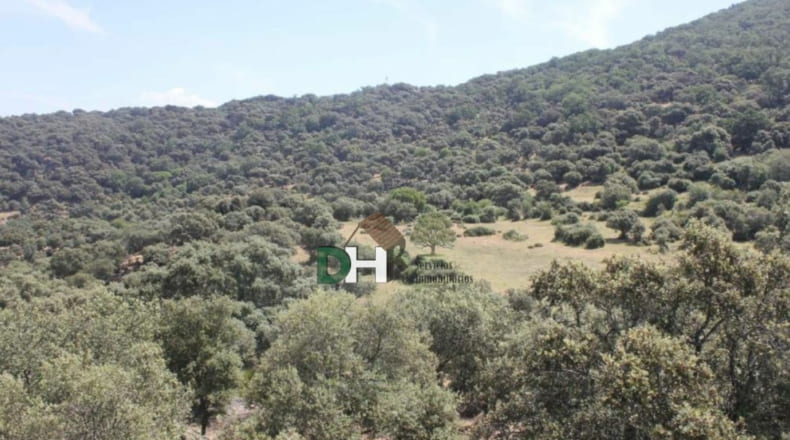 Cáceres - Cáceres - 1470000m2
