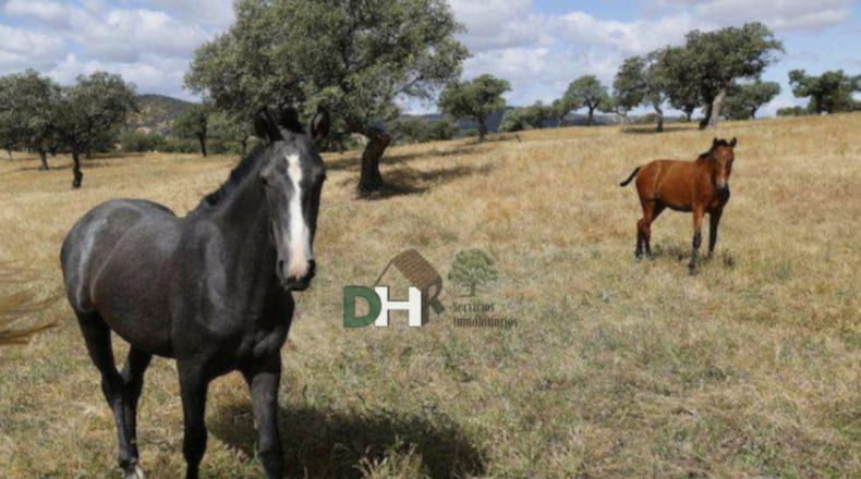 Badajoz - Badajoz - 8000000m2