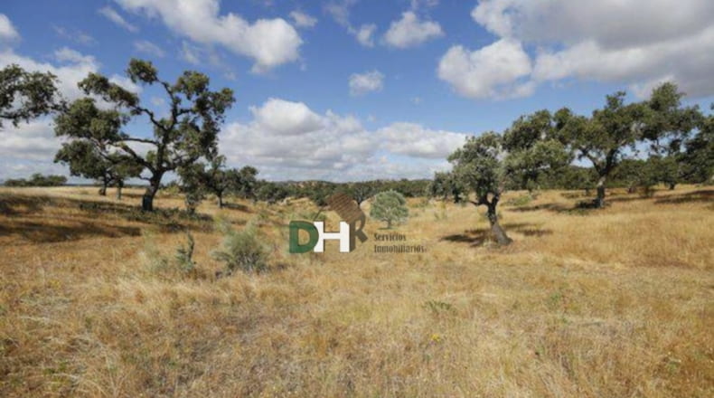 Badajoz - Badajoz - 8000000m2