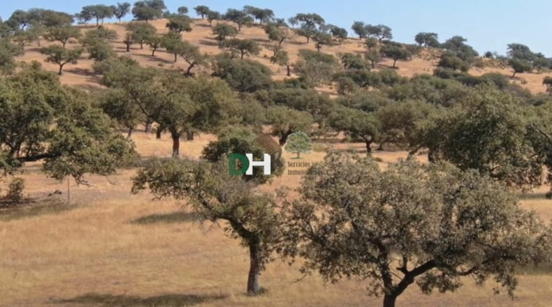 Badajoz - Badajoz - 8000000m2