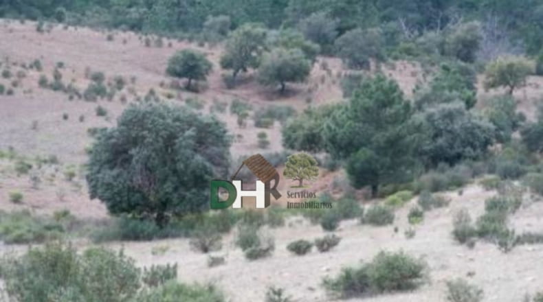 Cáceres - Cáceres - 2600000m2