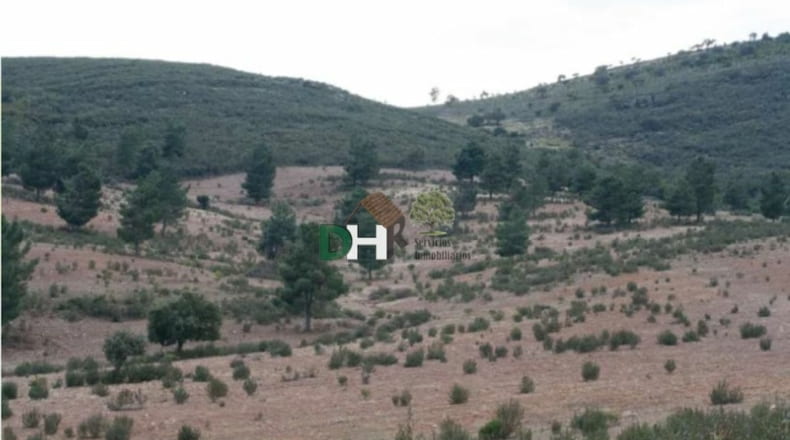 Cáceres - Cáceres - 2600000m2