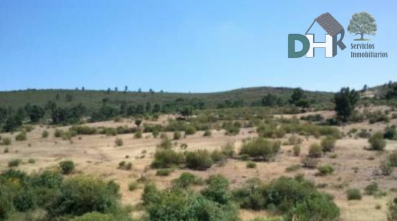 Cáceres - Cáceres - 2600000m2
