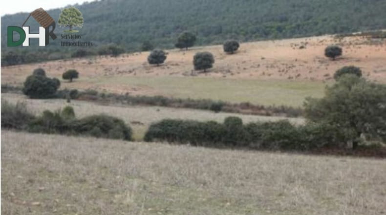 Cáceres - Cáceres - 2600000m2