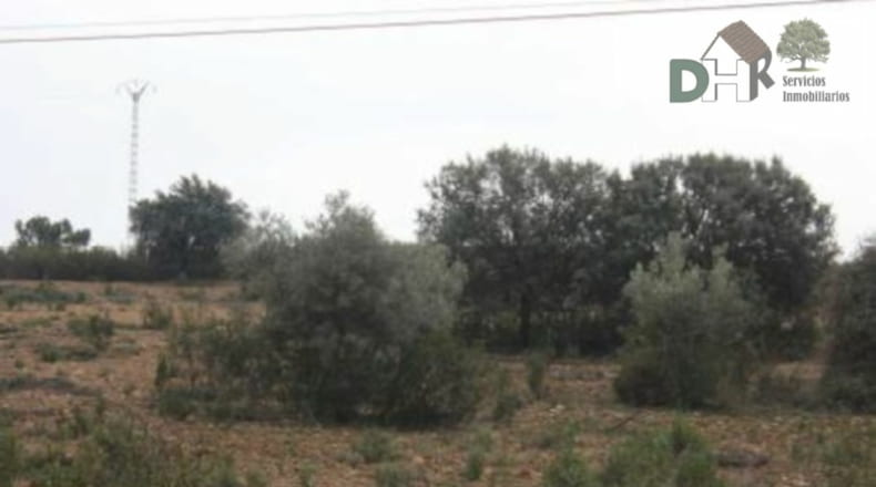 Cáceres - Cáceres - 2600000m2