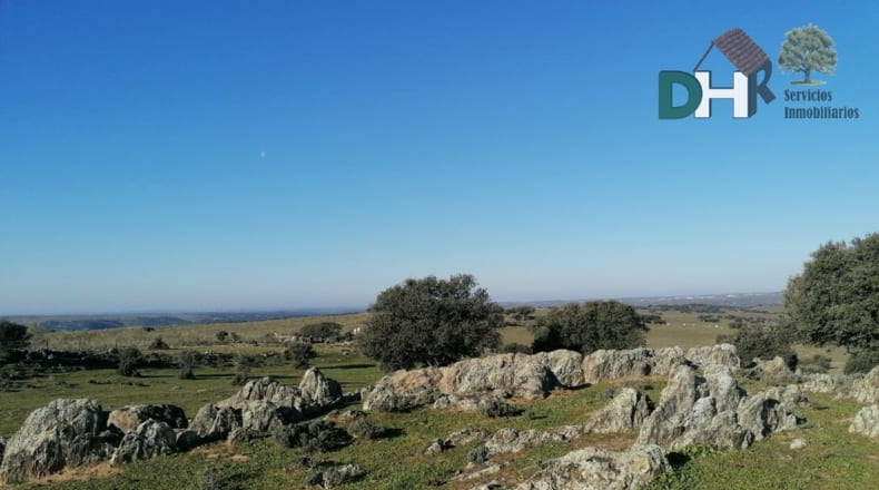 Cáceres - Cáceres - 1720000m2