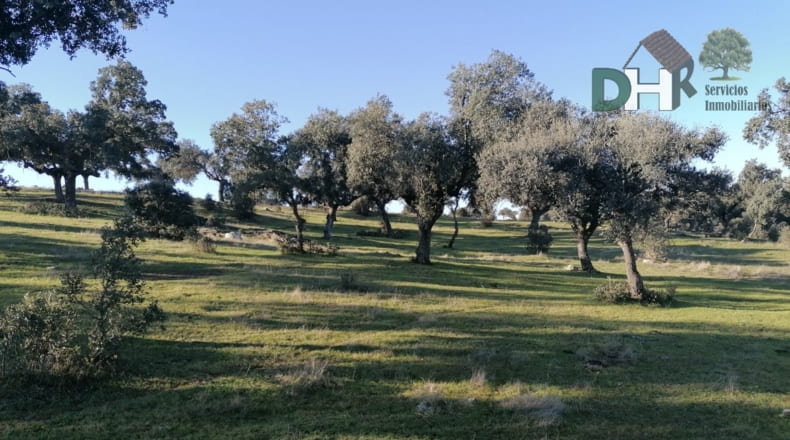 Cáceres - Cáceres - 1720000m2