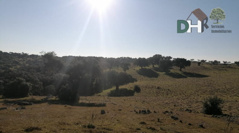 Cáceres - Cáceres - 1720000m2