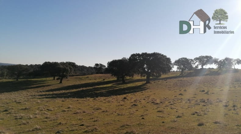 Cáceres - Cáceres - 1720000m2