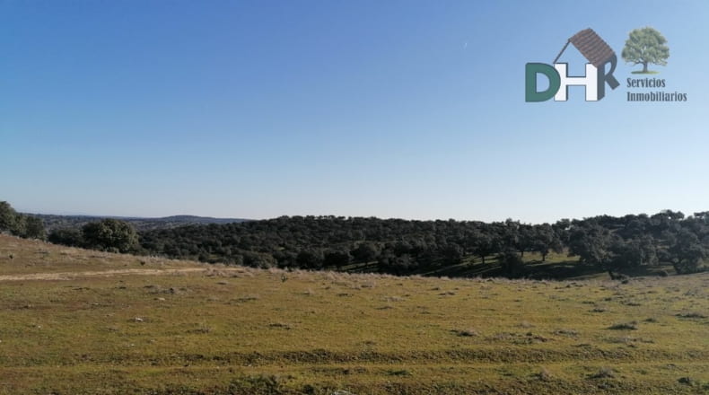 Cáceres - Cáceres - 1720000m2