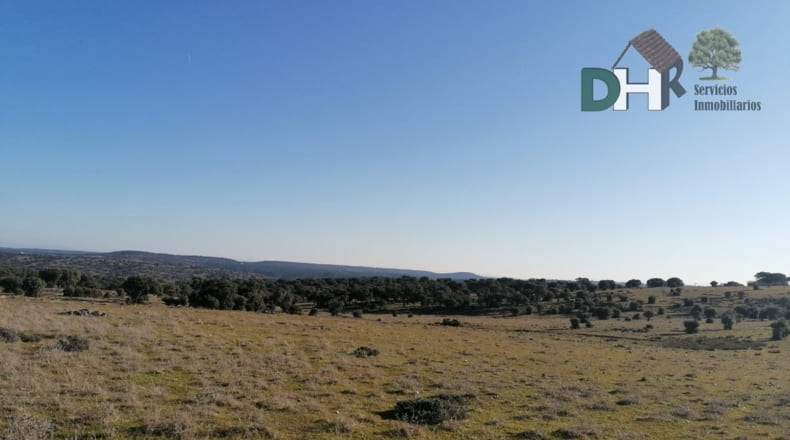 Cáceres - Cáceres - 1720000m2