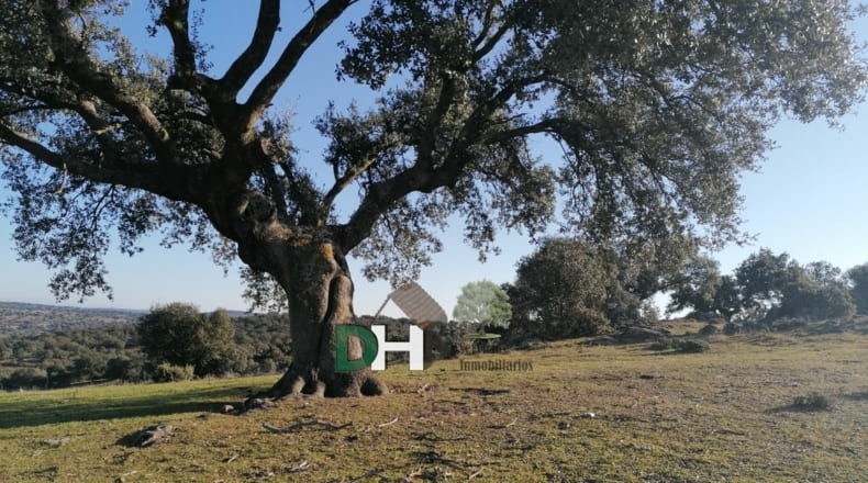 Cáceres - Cáceres - 1720000m2