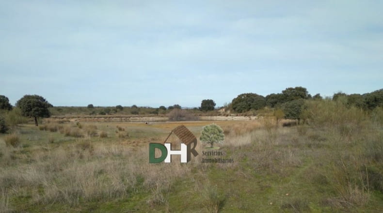 Cáceres - Cáceres - 960000m2