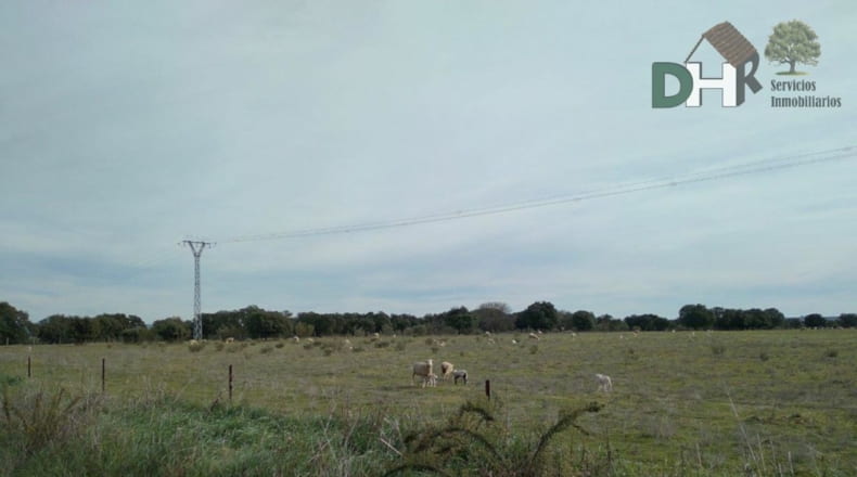 Cáceres - Cáceres - 960000m2