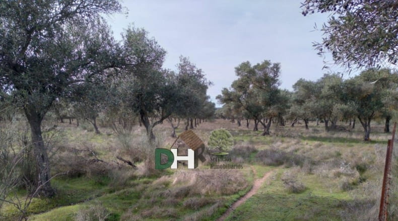 Cáceres - Cáceres - 960000m2