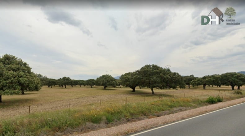 Cáceres - Cáceres - 2900000m2