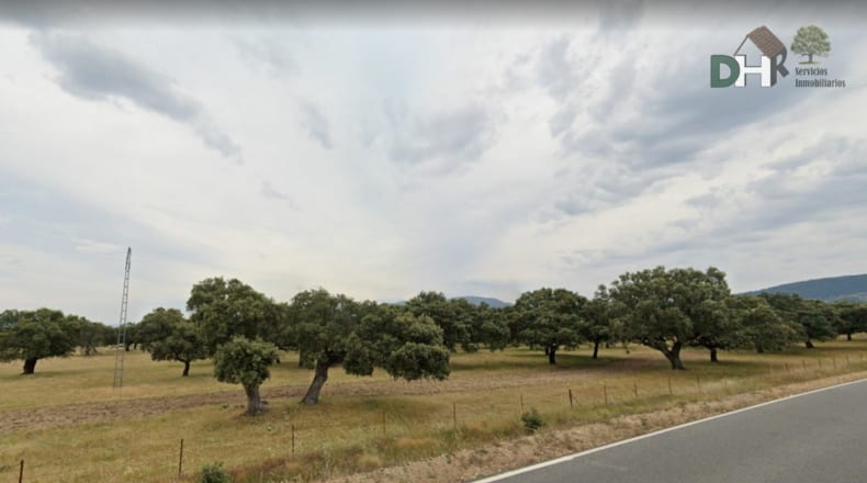 Cáceres - Cáceres - 2900000m2
