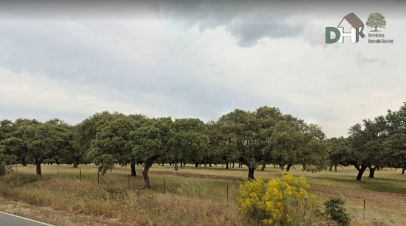 Cáceres - Cáceres - 2900000m2