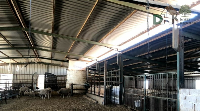 Badajoz - Badajoz - 1550000m2