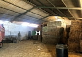 Non-developable land for sale on Calle Montesinos, Badajoz, ref: TR73343 photo