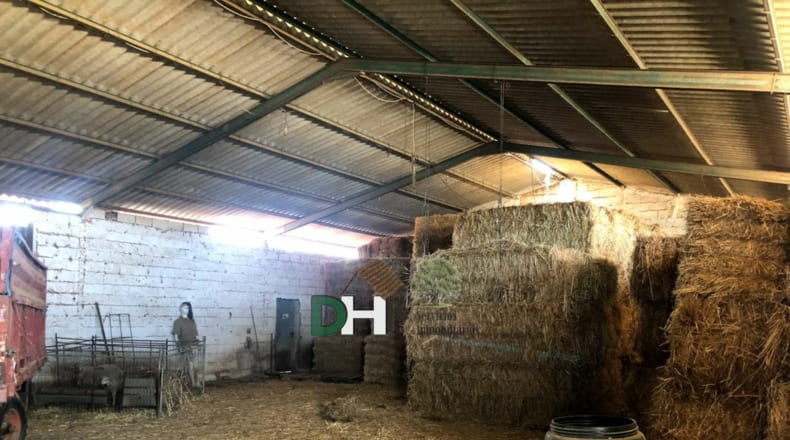 Badajoz - Badajoz - 1550000m2