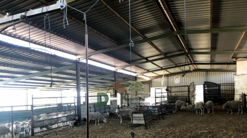 Badajoz - Badajoz - 1550000m2