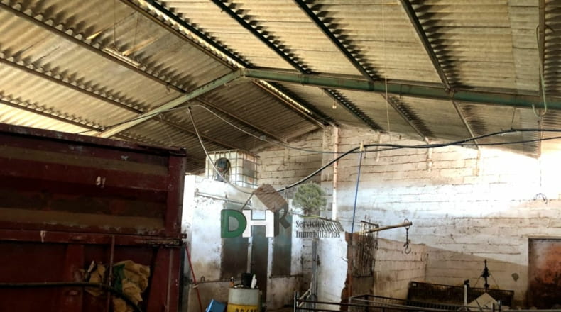 Badajoz - Badajoz - 1550000m2