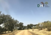 Non-developable land for sale on Calle Montesinos, Badajoz, ref: TR73343 photo