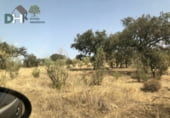 Non-developable land for sale on Calle Montesinos, Badajoz, ref: TR73343 photo