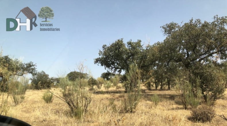 Badajoz - Badajoz - 1550000m2